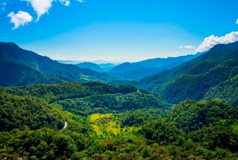 SAN MARTÍN: BOSQUE DE ALTO MAYO PIERDE MÁS DE MIL HECTÁREAS DE ÁREA PROTEGIDA POR AVANCE DE COLONOS, ADVIERTE ECOLOGISTA DAVID LANDA