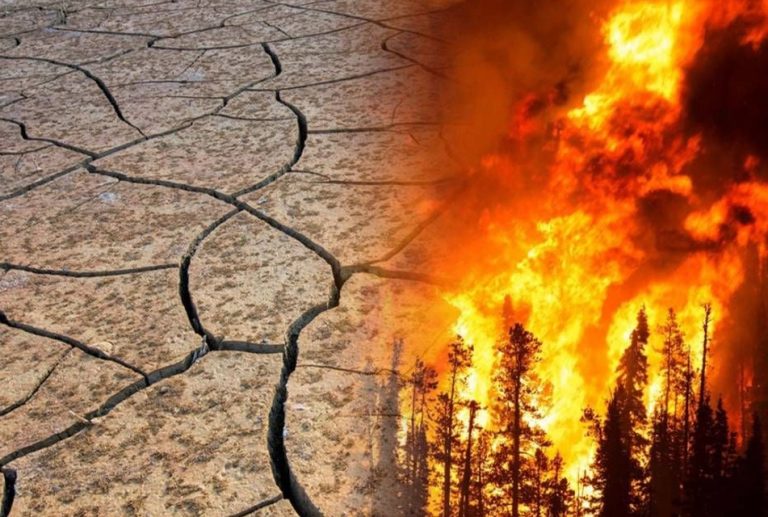 EL NIÑO 2026 AMENAZA LA AMAZONÍA PERUANA CON SEQUÍAS E INCENDIOS FORESTALES Y PONE EN RIESGO LA AGRICULTURA, ADVIERTE ECOLOGISTA DAVID LANDA