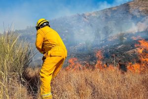 ÁNCASH EN ALERTA: MÁS DE 180 INCENDIOS FORESTALES ARRASAN HECTÁREAS DE CULTIVO Y COBERTURA NATURAL