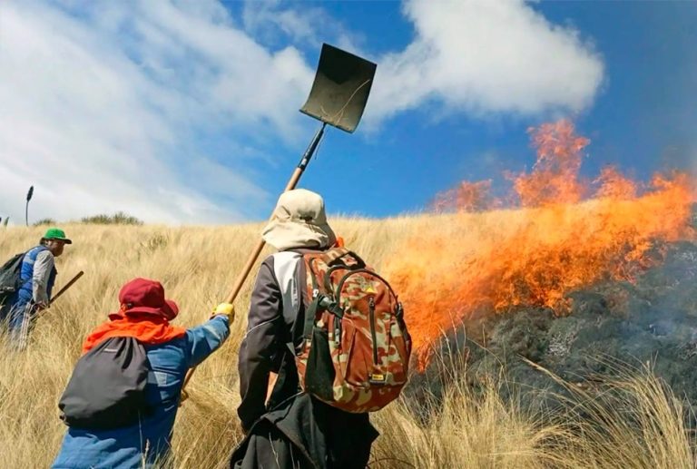 CUSCO: A 6 SE ELEVAN LOS FALLECIDOS POR INCENDIOS FORESTALES Y HAY OTRO HERIDO DE GRAVEDAD